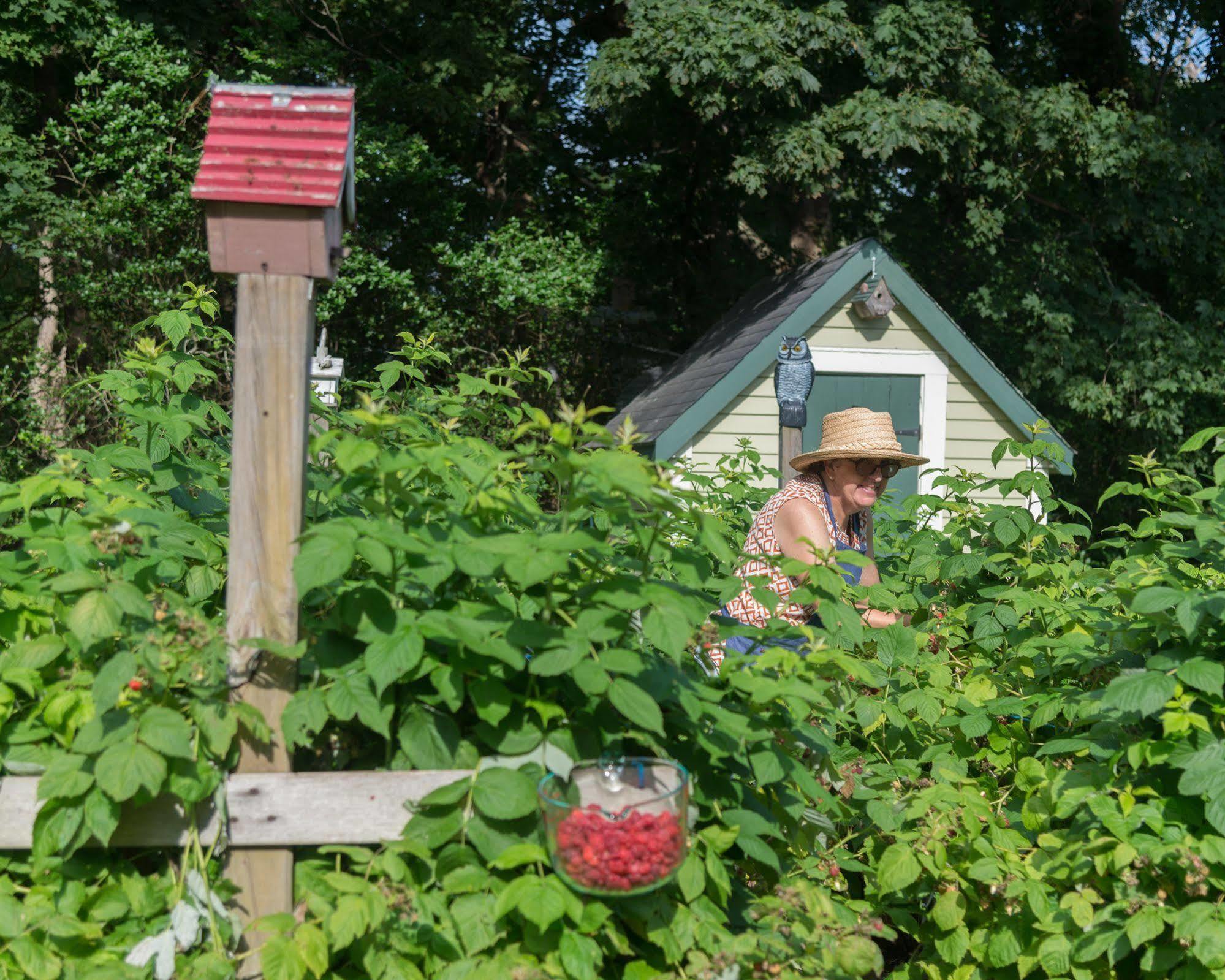 Captain Freeman Inn Brewster Eksteriør billede